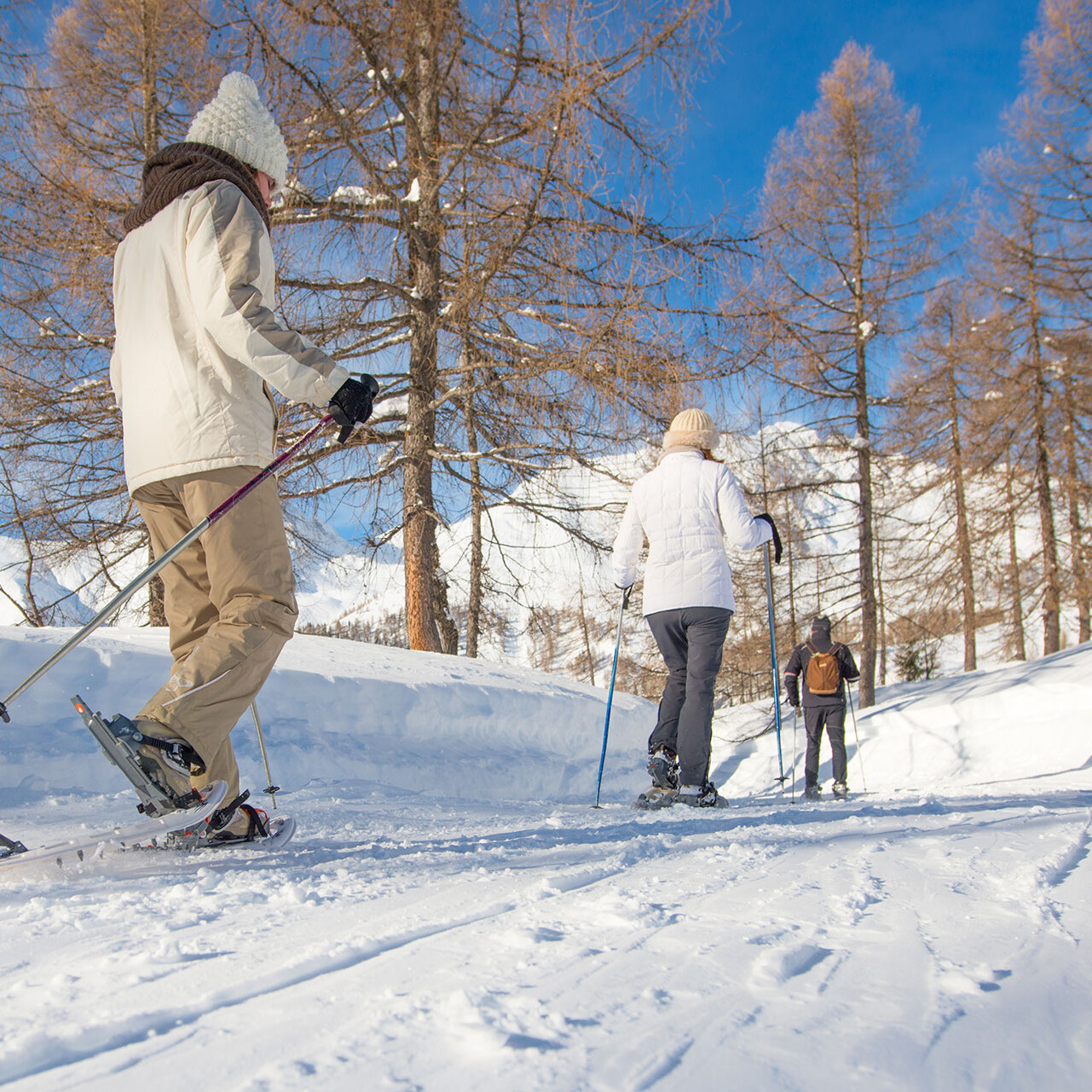 Camminata sulla Neve Dolomiti