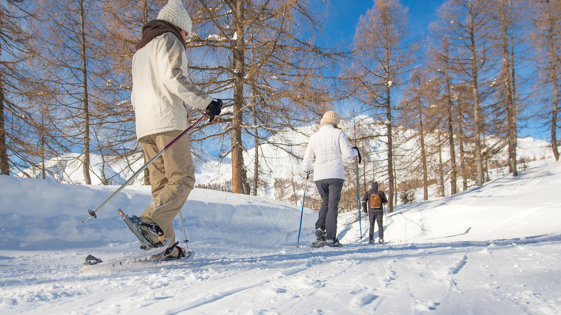 Camminata sulla Neve Dolomiti