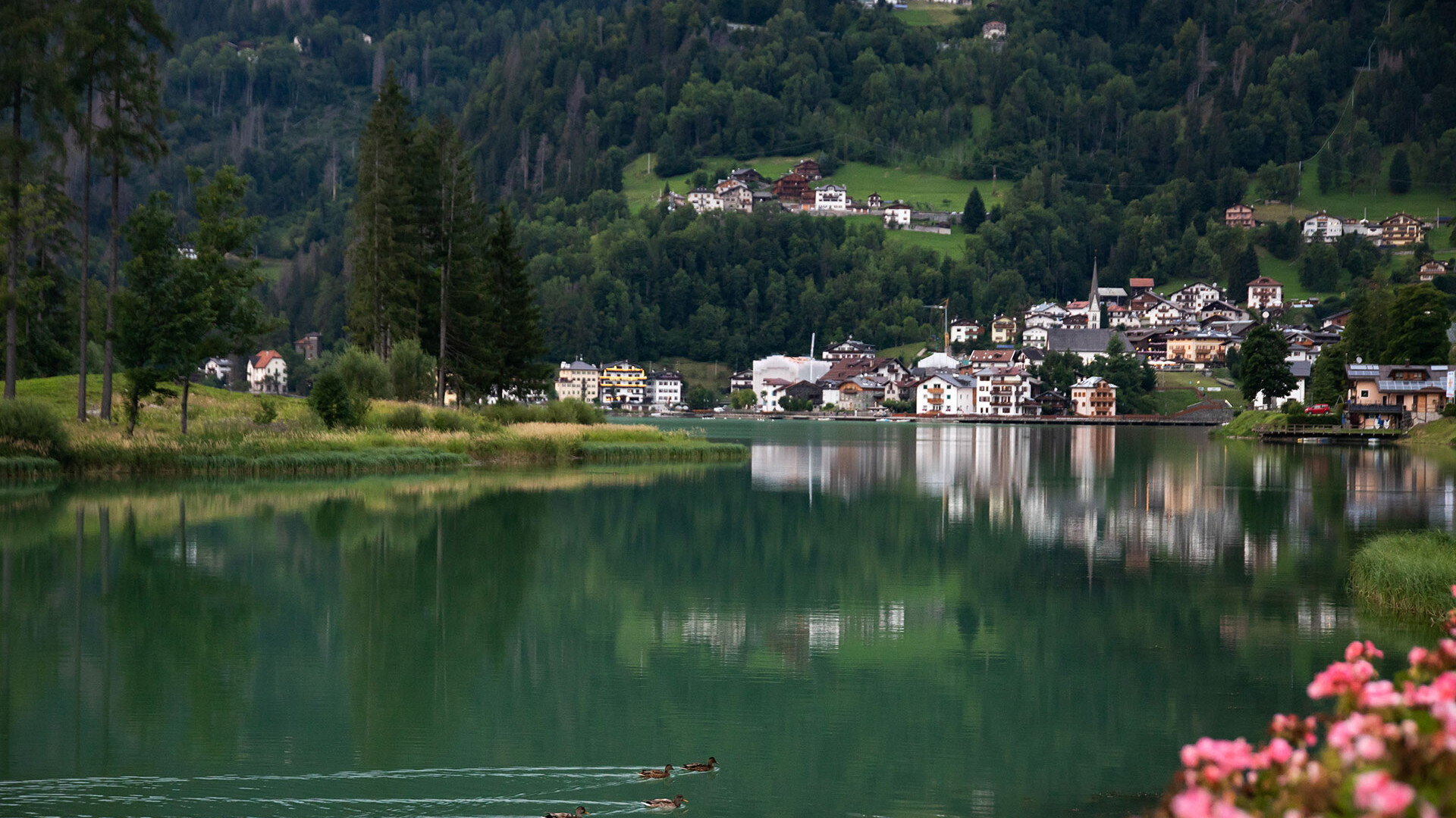 Foto Dolomiti lago Alleghe